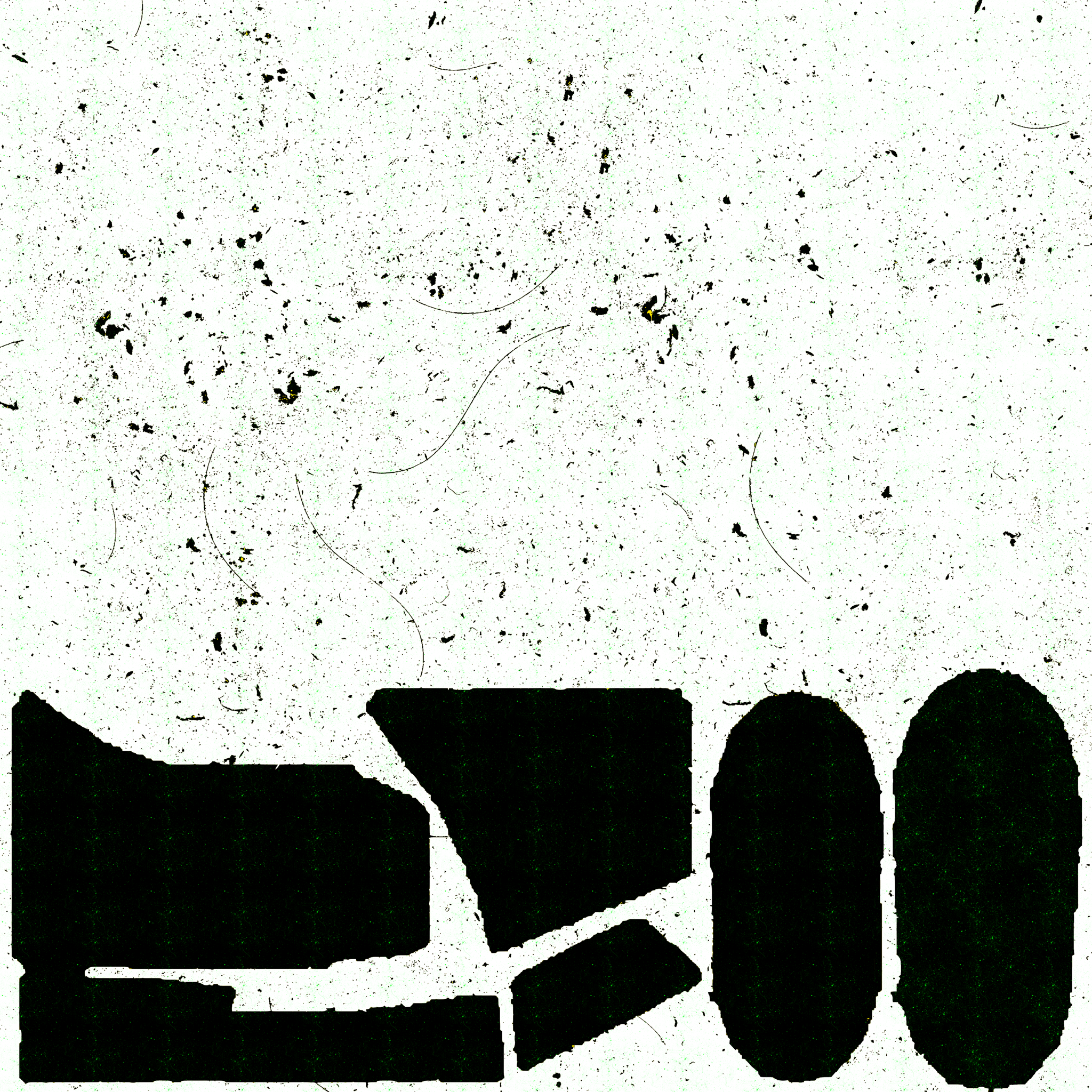 Slides